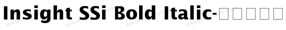 Insight SSi Bold Italic字体转换